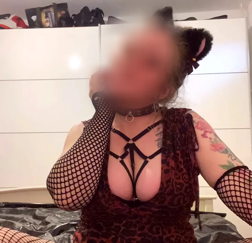 Stine, 27